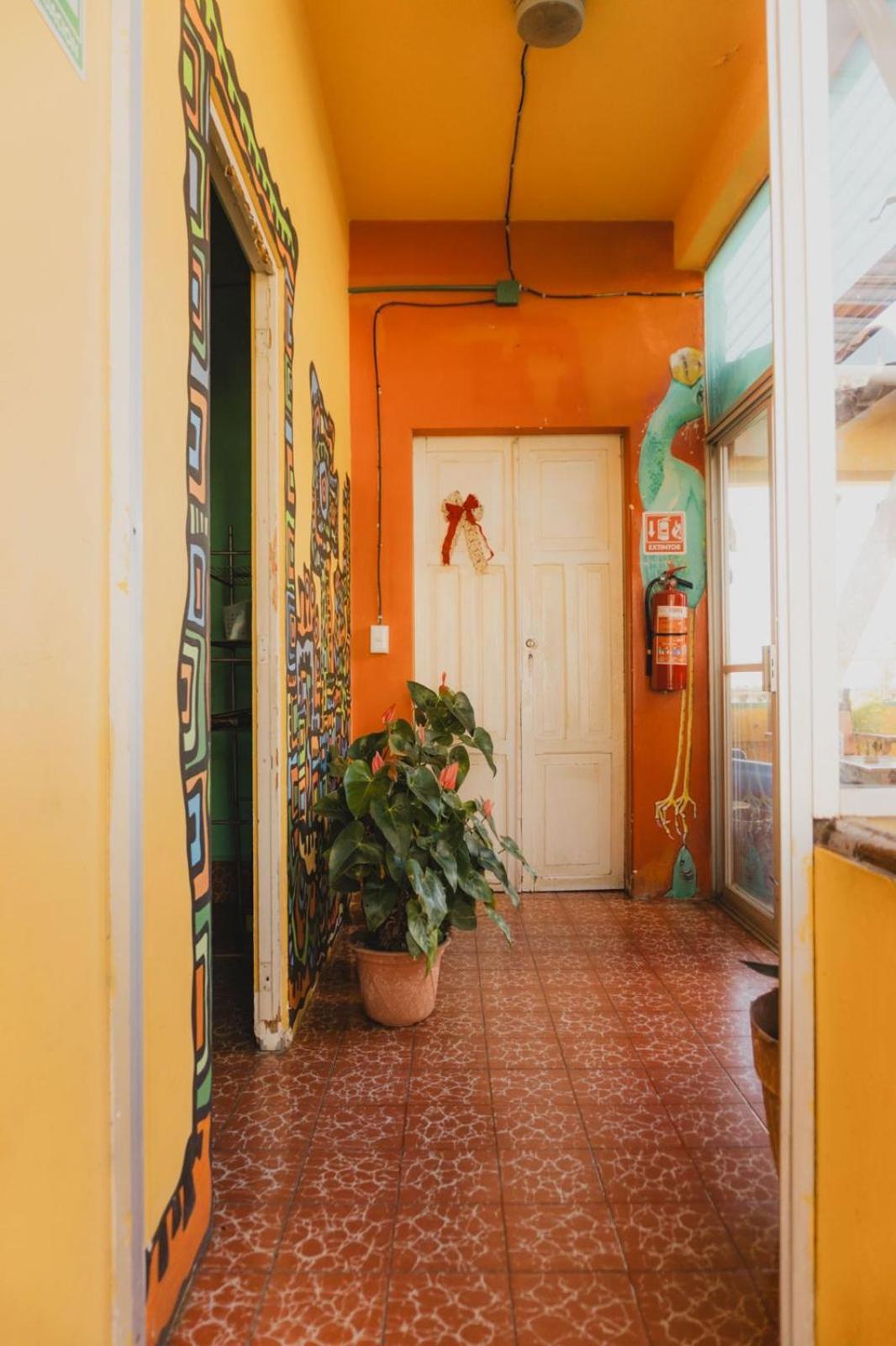 Casa Kraken Hostel Puerto Vallarta Buitenkant foto